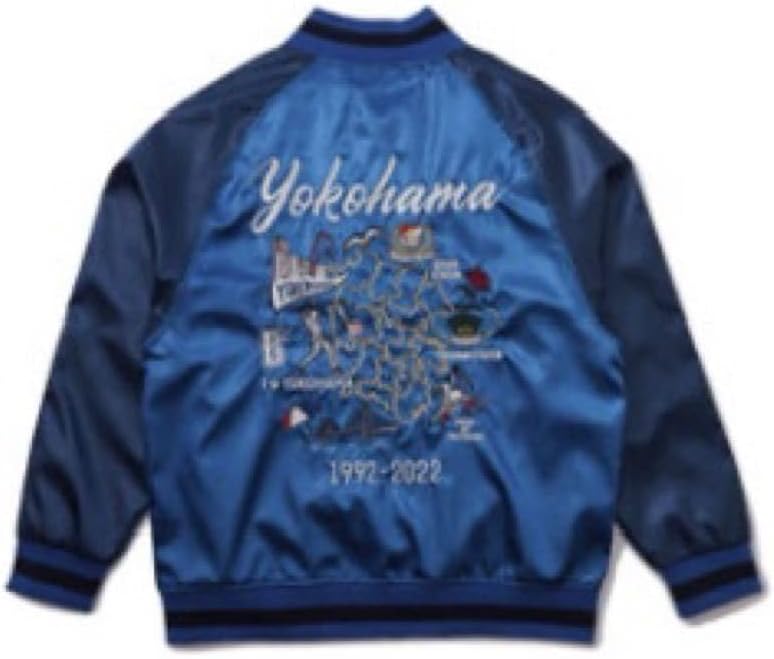 権野元 権野組 長渕剛 太陽の家 ジャンパー スカジャン ジップアップ